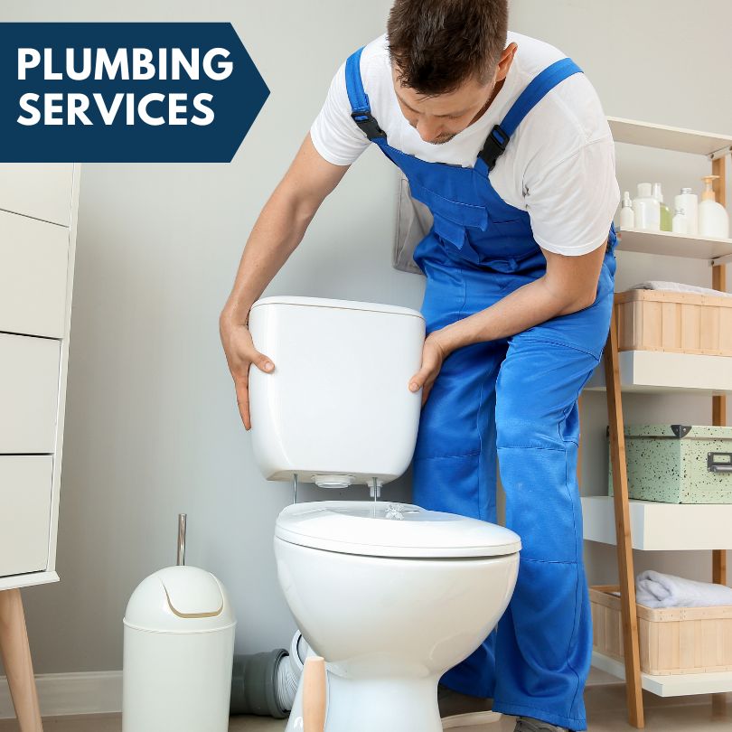 Plumbing Company in Davenport, NY